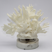 ADORNO CORAL