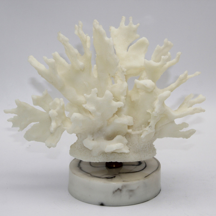 ADORNO CORAL