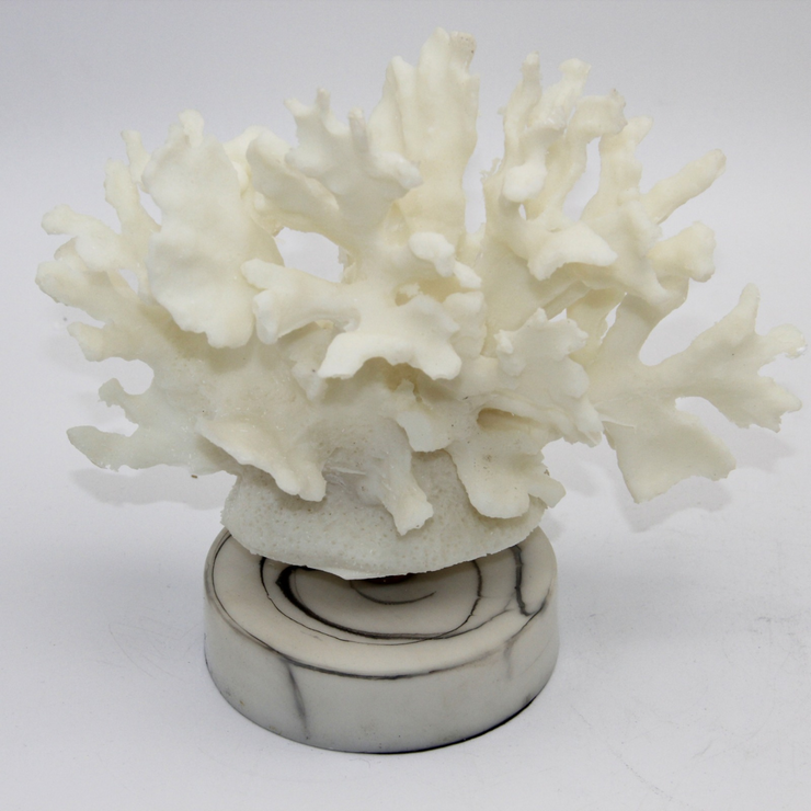 ADORNO CORAL