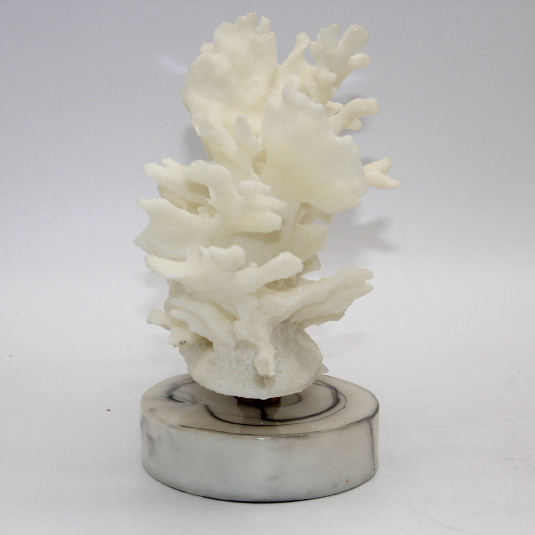 ADORNO CORAL