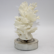 ADORNO CORAL