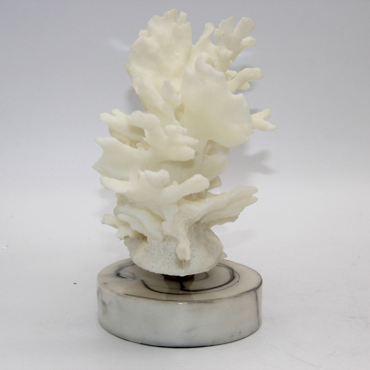 ADORNO CORAL