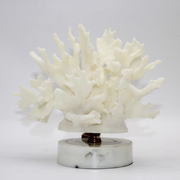 ADORNO CORAL