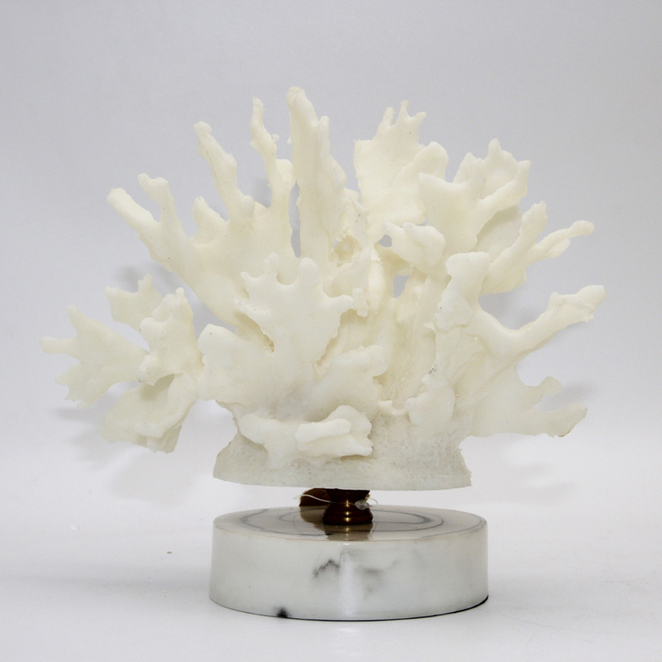 ADORNO CORAL
